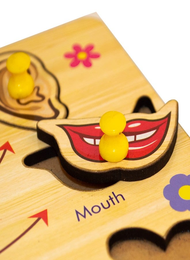 BuGBee Body Parts Toddler Puzzles For Kids Ages 2-4-8 Montessori Wooden Puzzles For Children 3-5 Years Old Preschool Game For Learning Human Body Parts Anatomy Skeleton - Gift Toys For Boy And Girl - Image 4